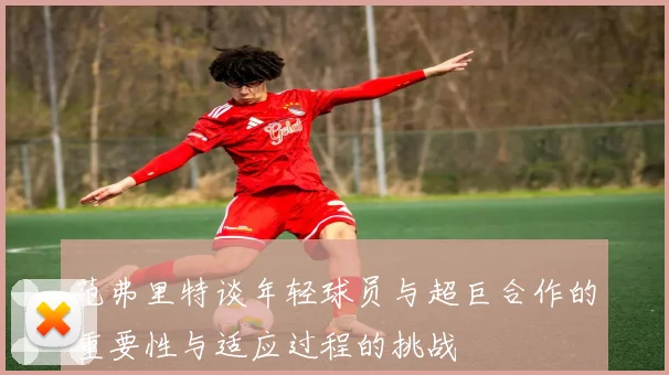 范弗里特谈年轻球员与超巨合作的重要性与适应过程的挑战