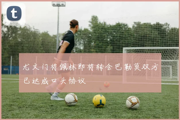 尤文门将佩林即将转会巴勒莫双方已达成口头协议