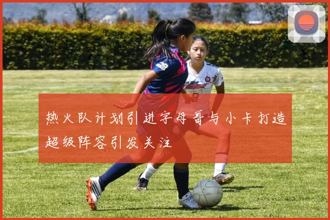 热火队计划引进字母哥与小卡打造超级阵容引发关注